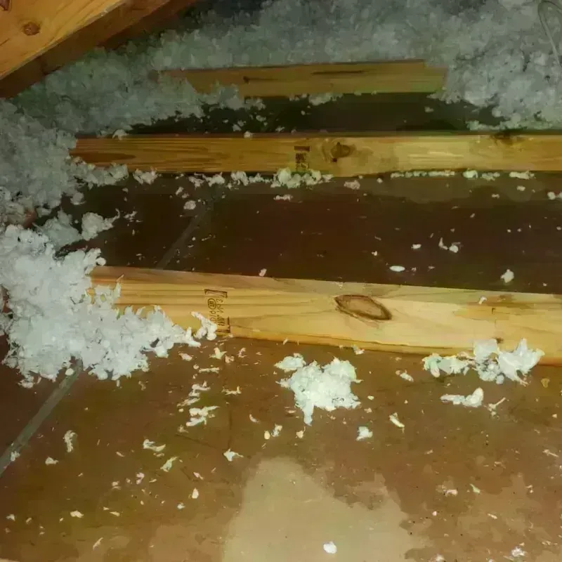 Attic Water Damage in Wapello, IA